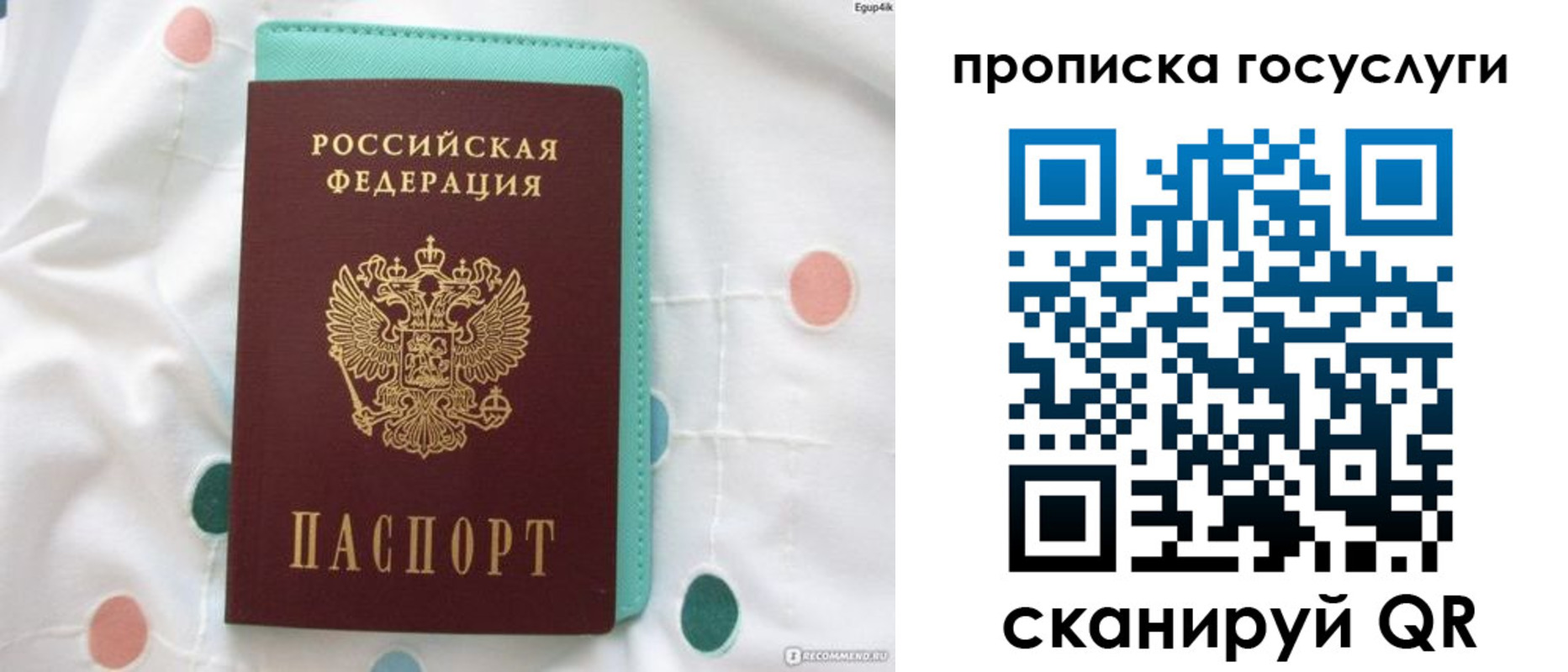 прописка поиск в Анапе